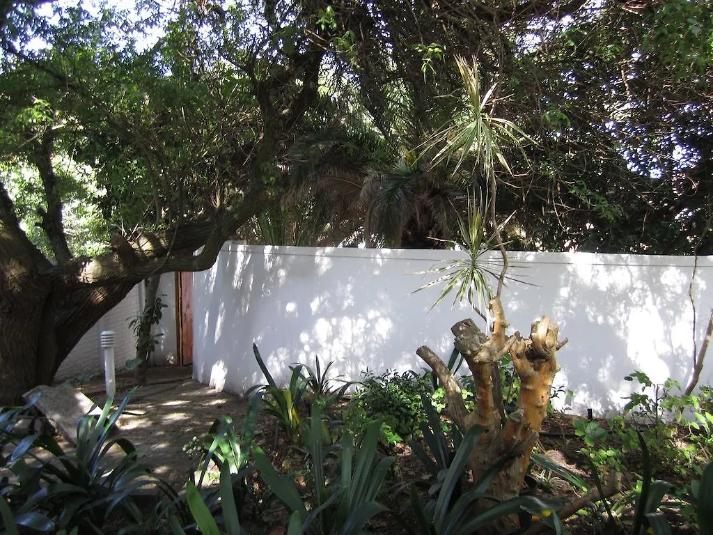 Applegarth B&B And Self-Catering Studios Κέιπ Τάουν Νότια Αφρική