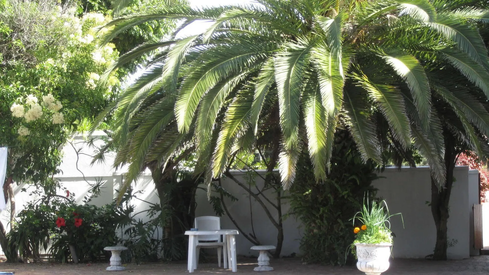 *** Bed and Breakfast Applegarth B&B And Self-Catering Studios Κέιπ Τάουν Νότια Αφρική